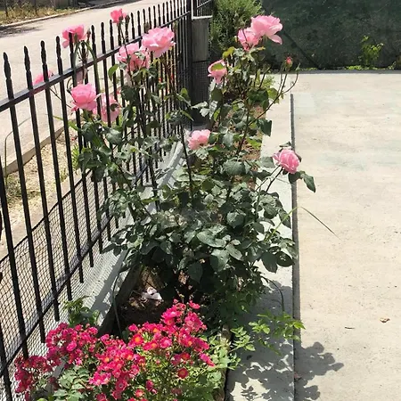Garden House *
