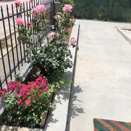 Garden House *